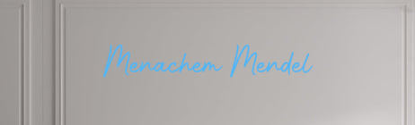 Custom text: Menachem Mendel - YELLOWPOP USA