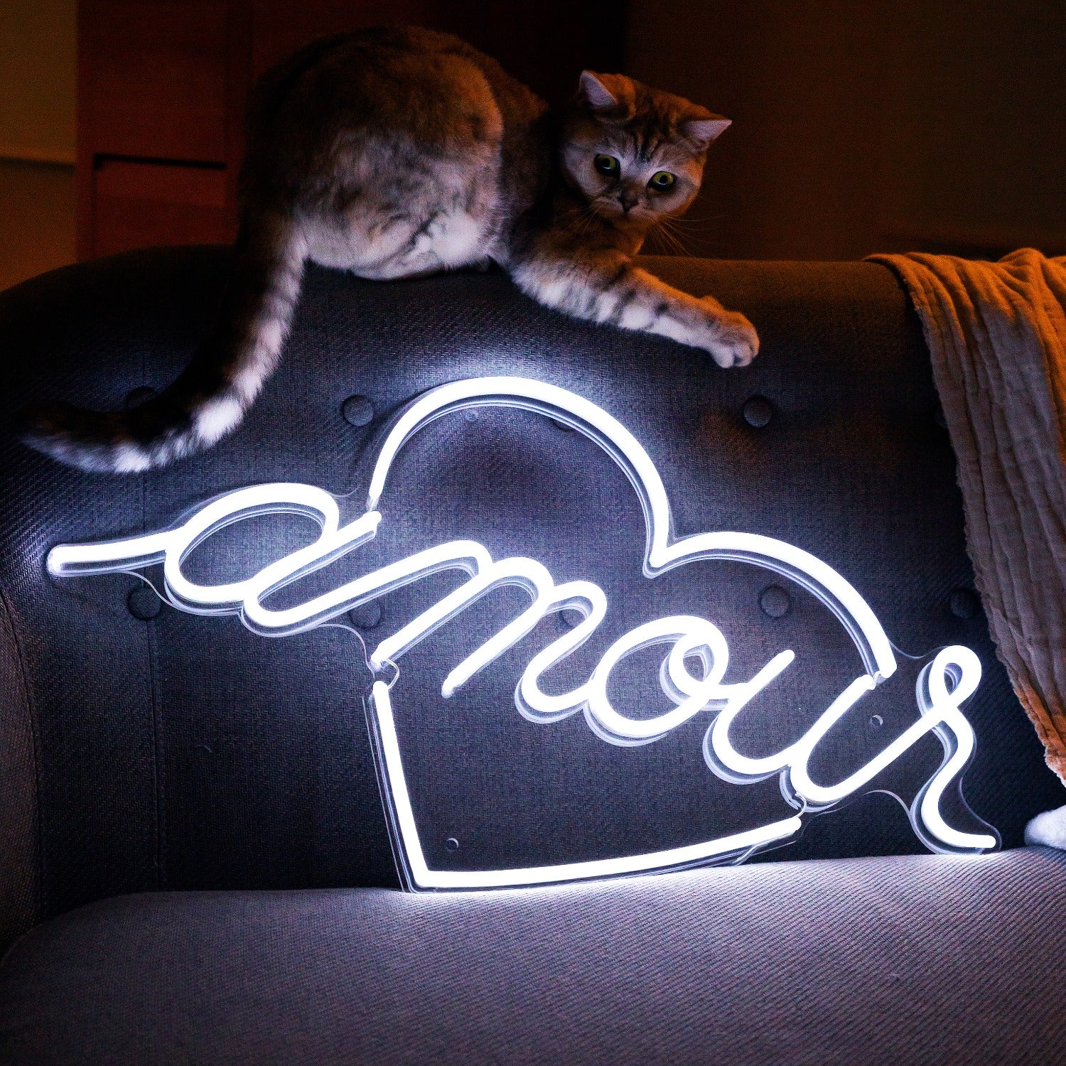 Amour by Jean André, LED neon sign