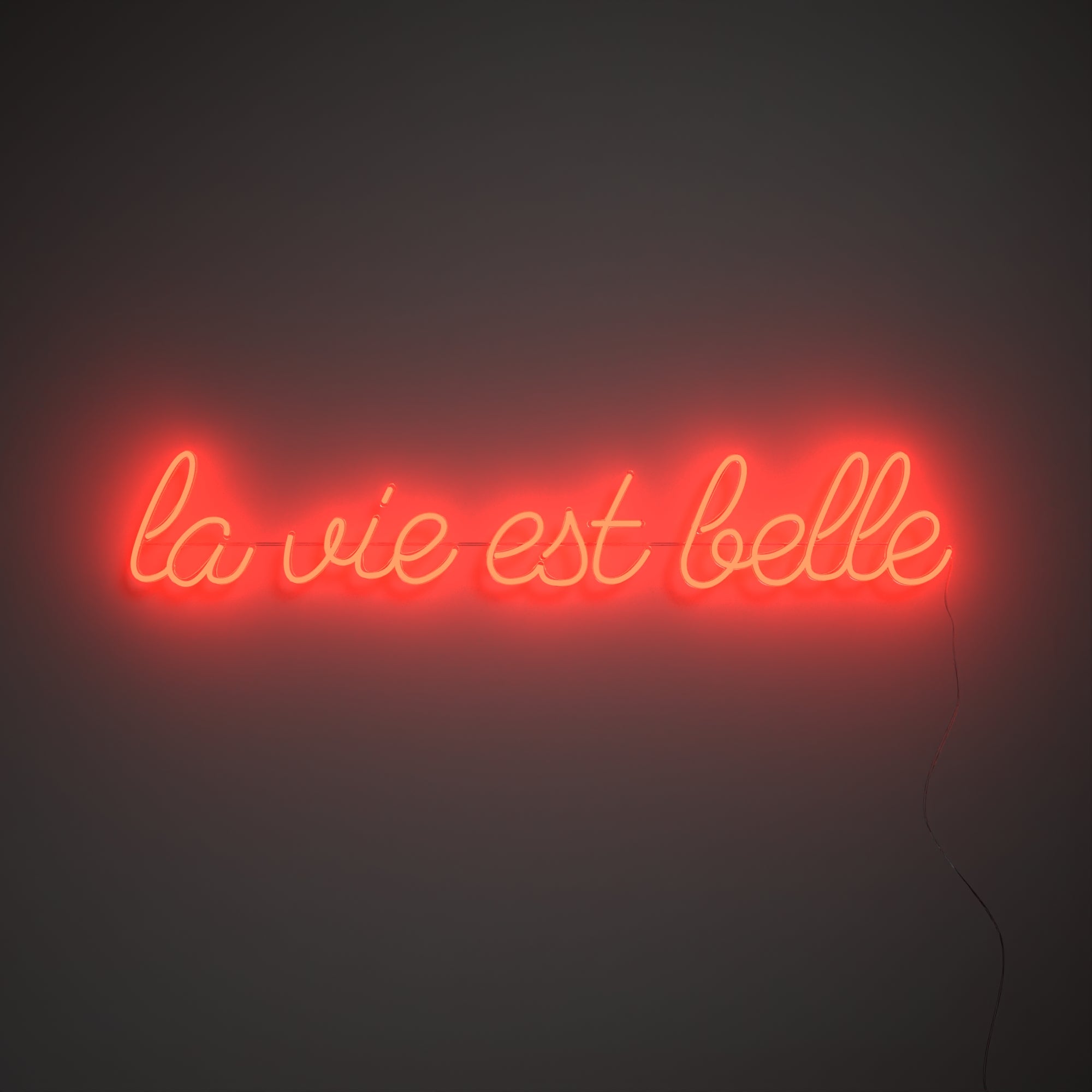 La vie est belle - LEDネオンサイン