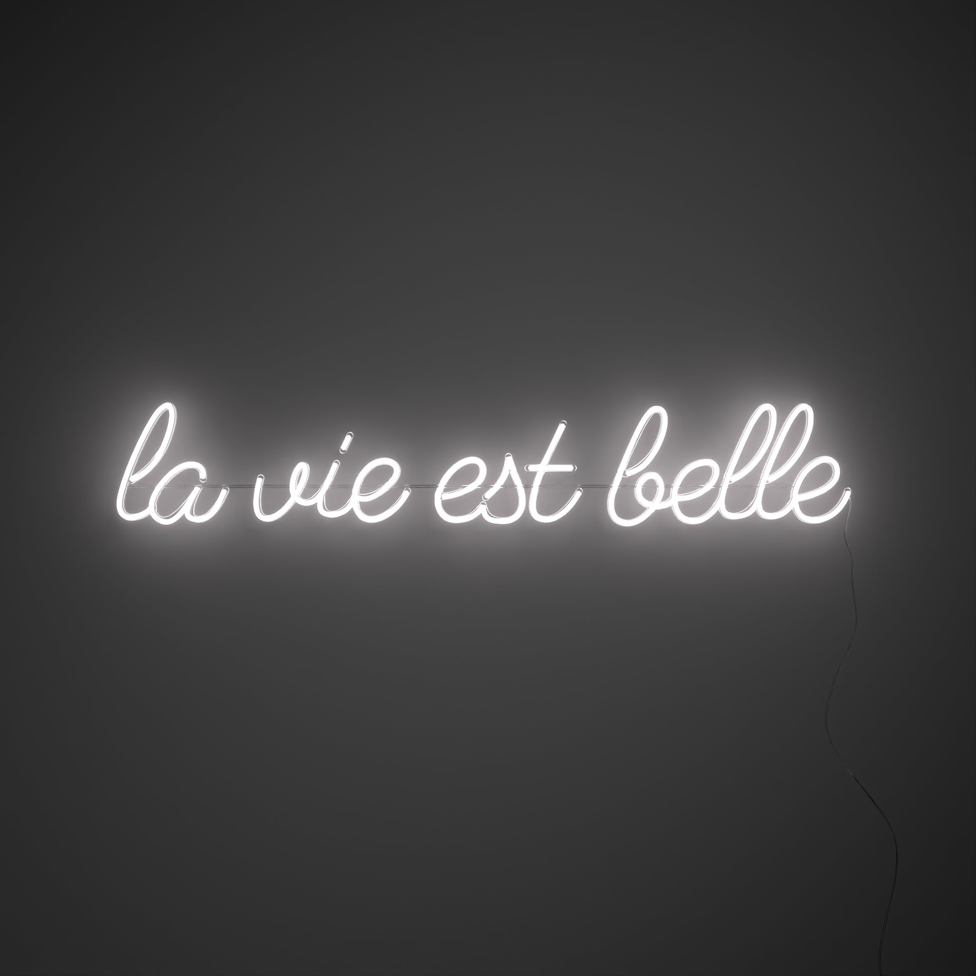 La vie est belle - LEDネオンサイン