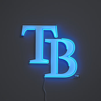 Tampa Bay Rays Logo, LED neon sign