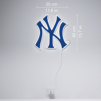NY Yankees Logo, LED neon sign