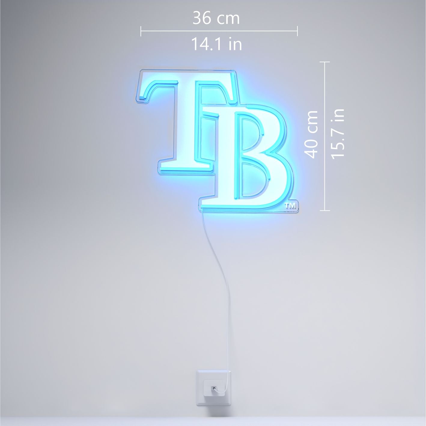 Tampa Bay Rays Logo, LED neon sign