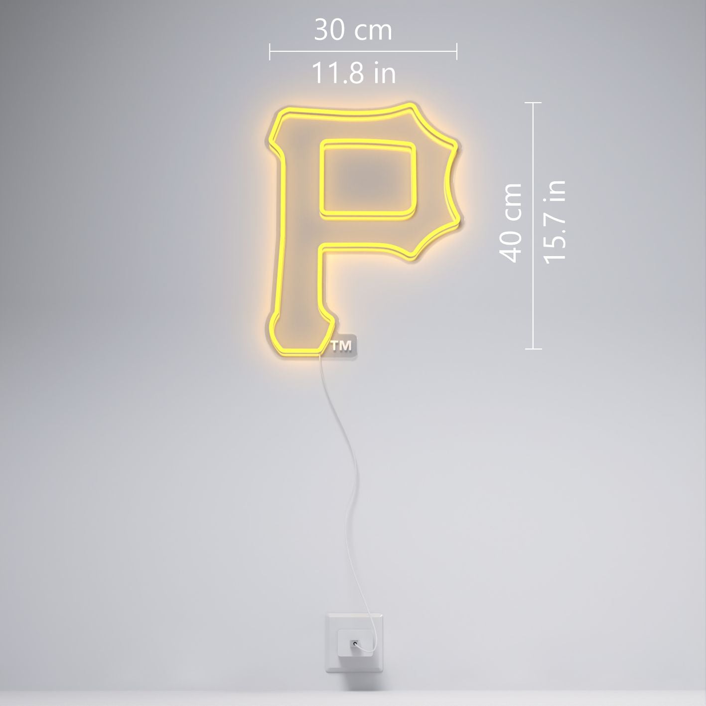 Pittsburgh Pirates Logo, LED neon sign