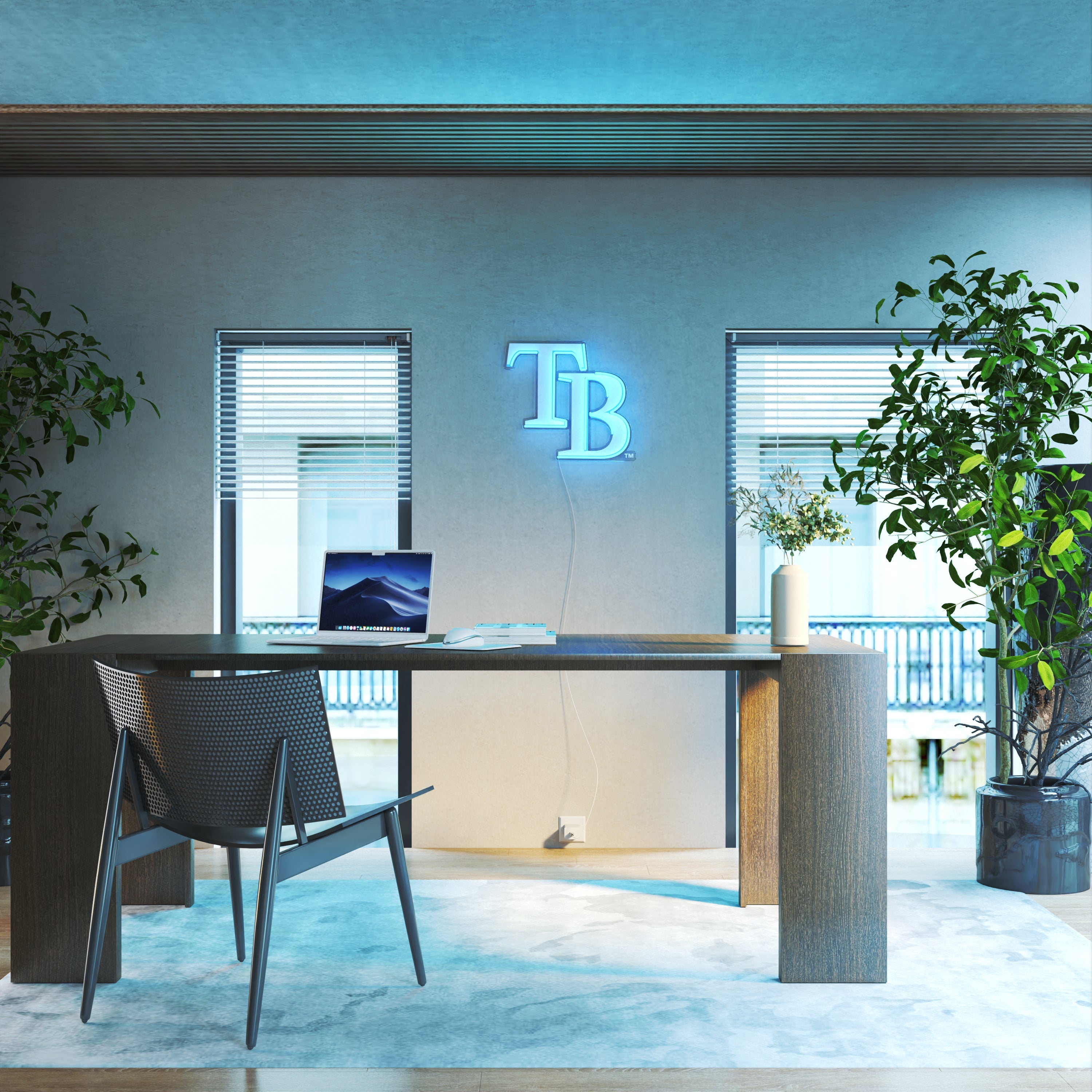 Tampa Bay Rays Logo, LED neon sign