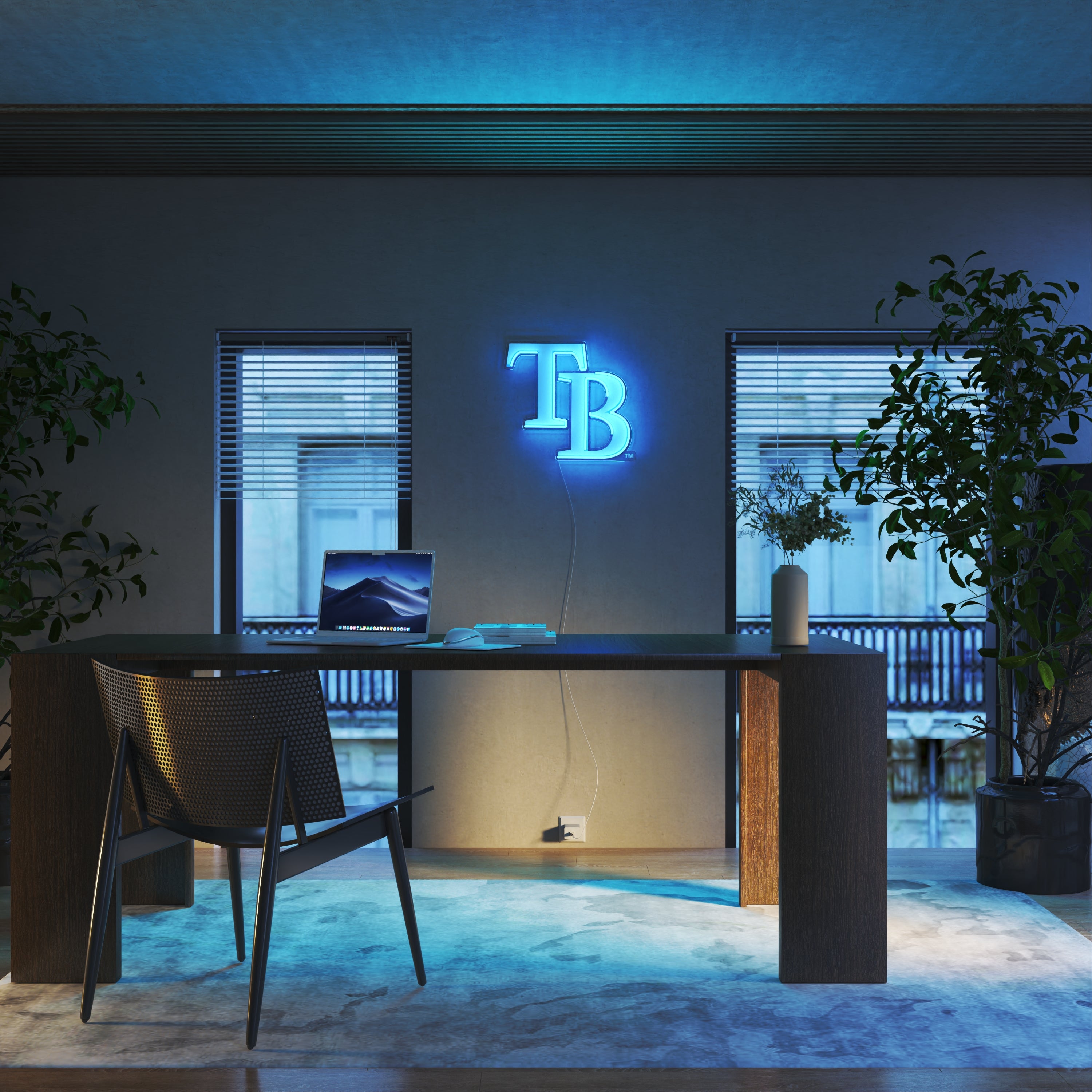 Tampa Bay Rays Logo, LED neon sign