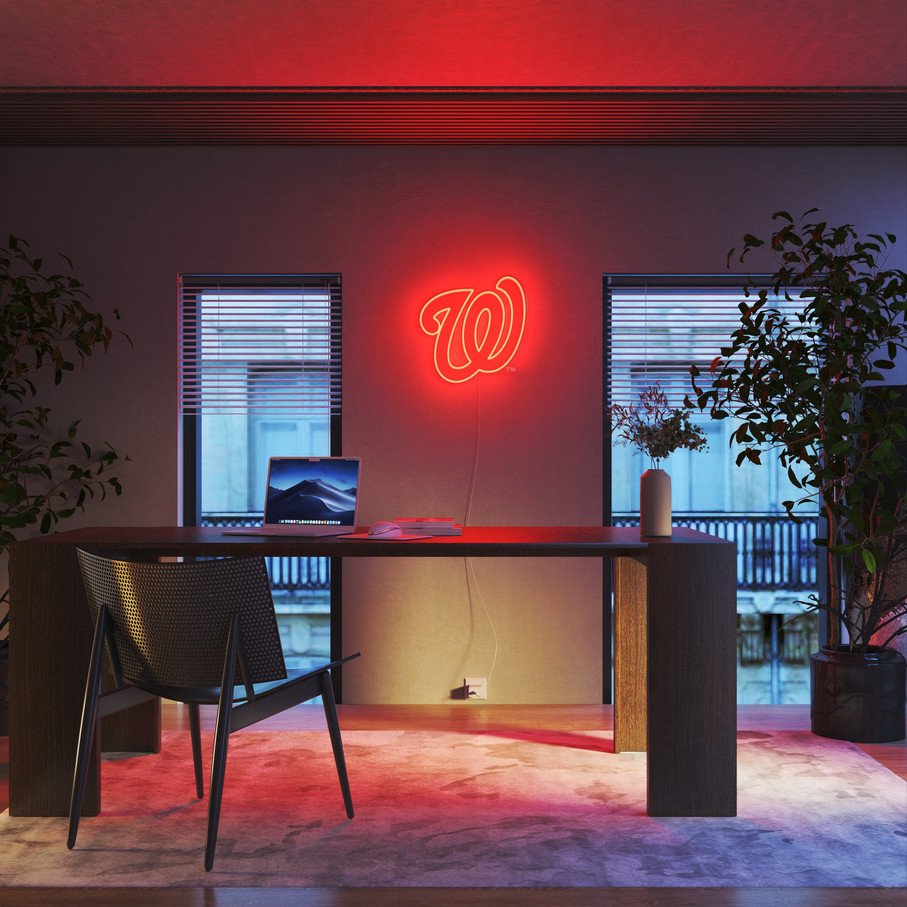 Washington Nationals Logo, LED neon sign - YELLOWPOP USA