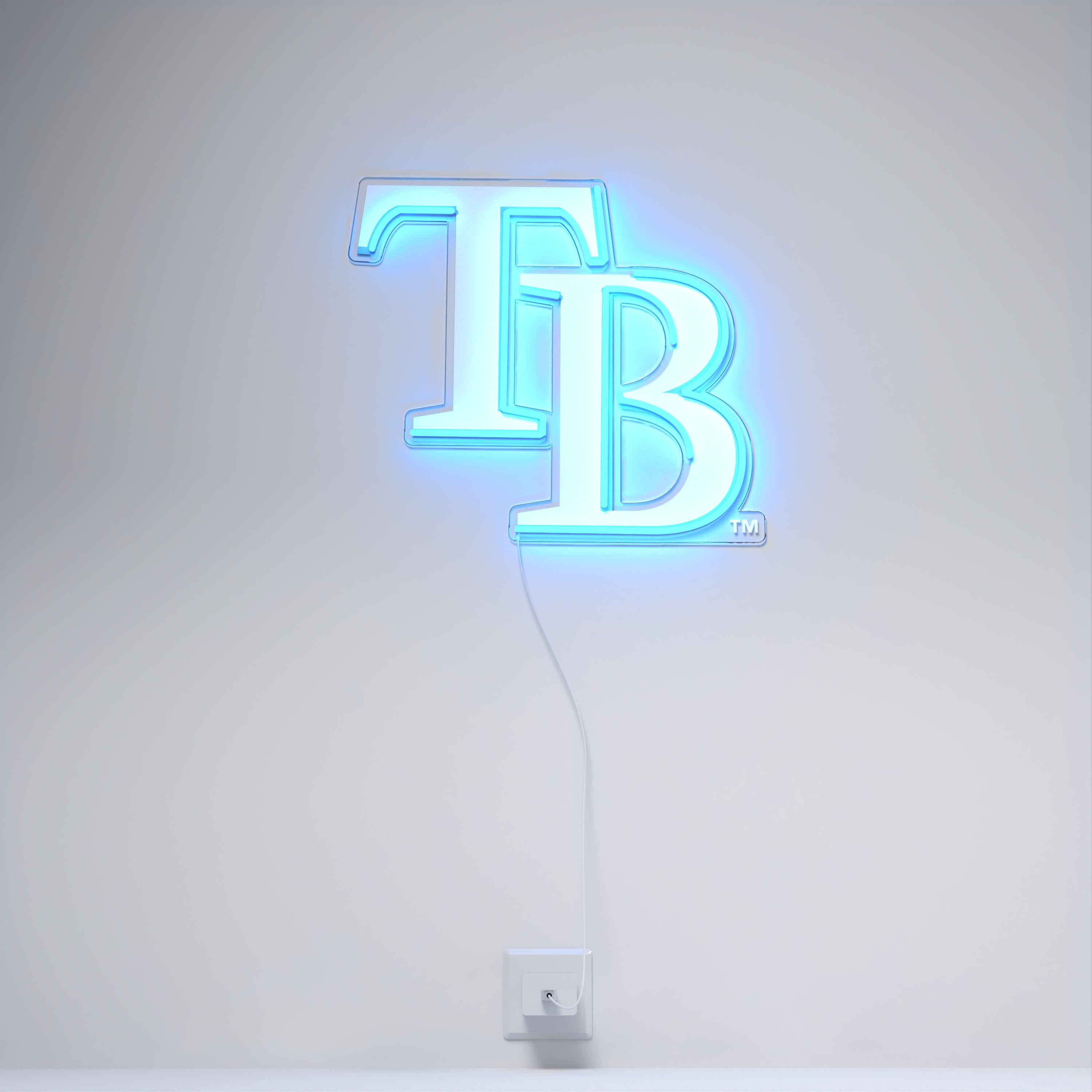 Tampa Bay Rays Logo, LED neon sign