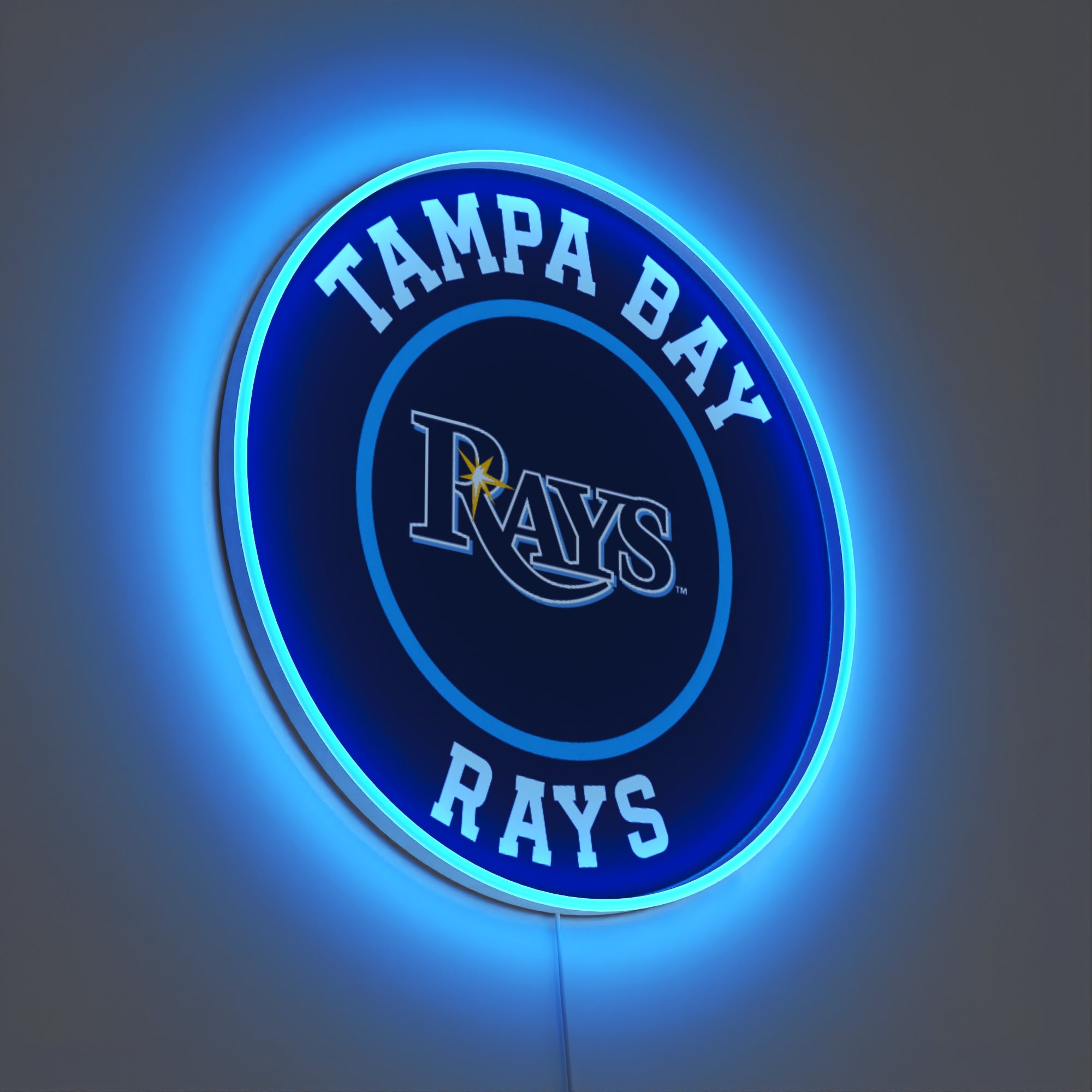 Tampa Bay Rays Rounded Logo, LED neon sign
