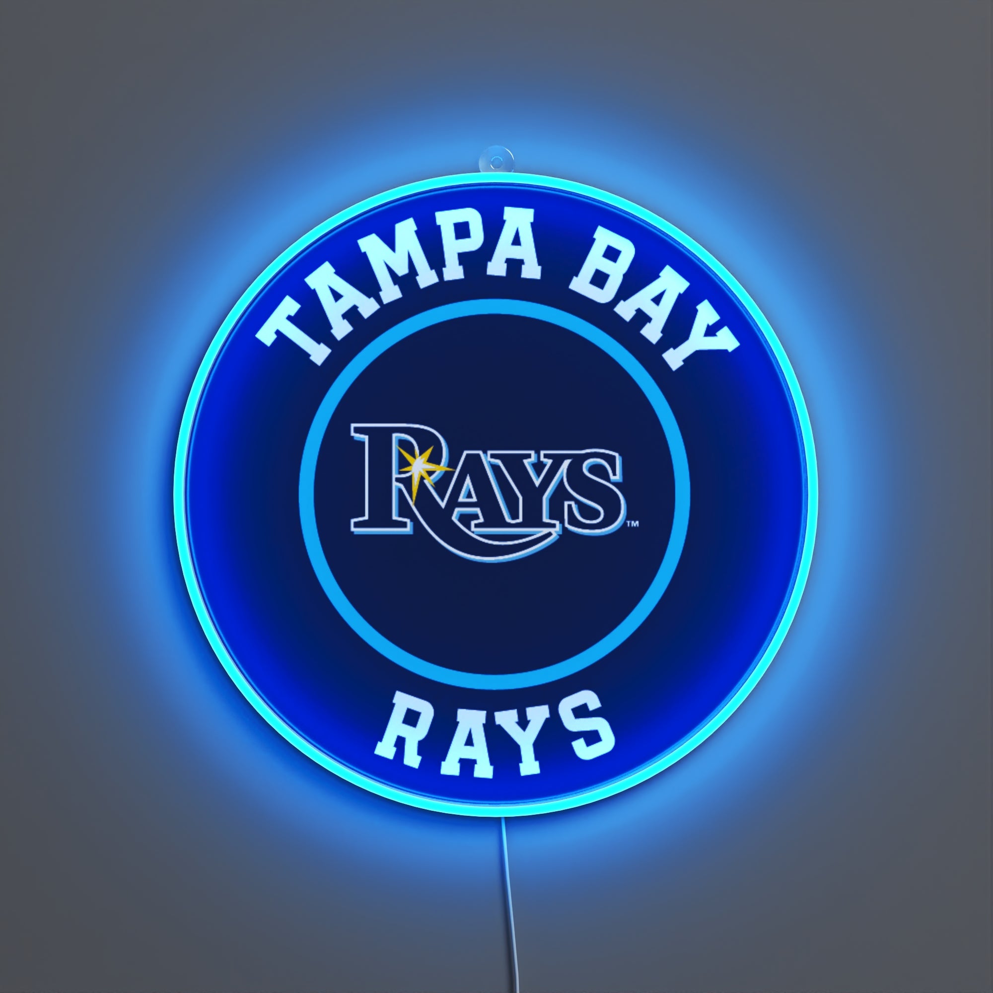 Tampa Bay Rays Rounded Logo, LED neon sign