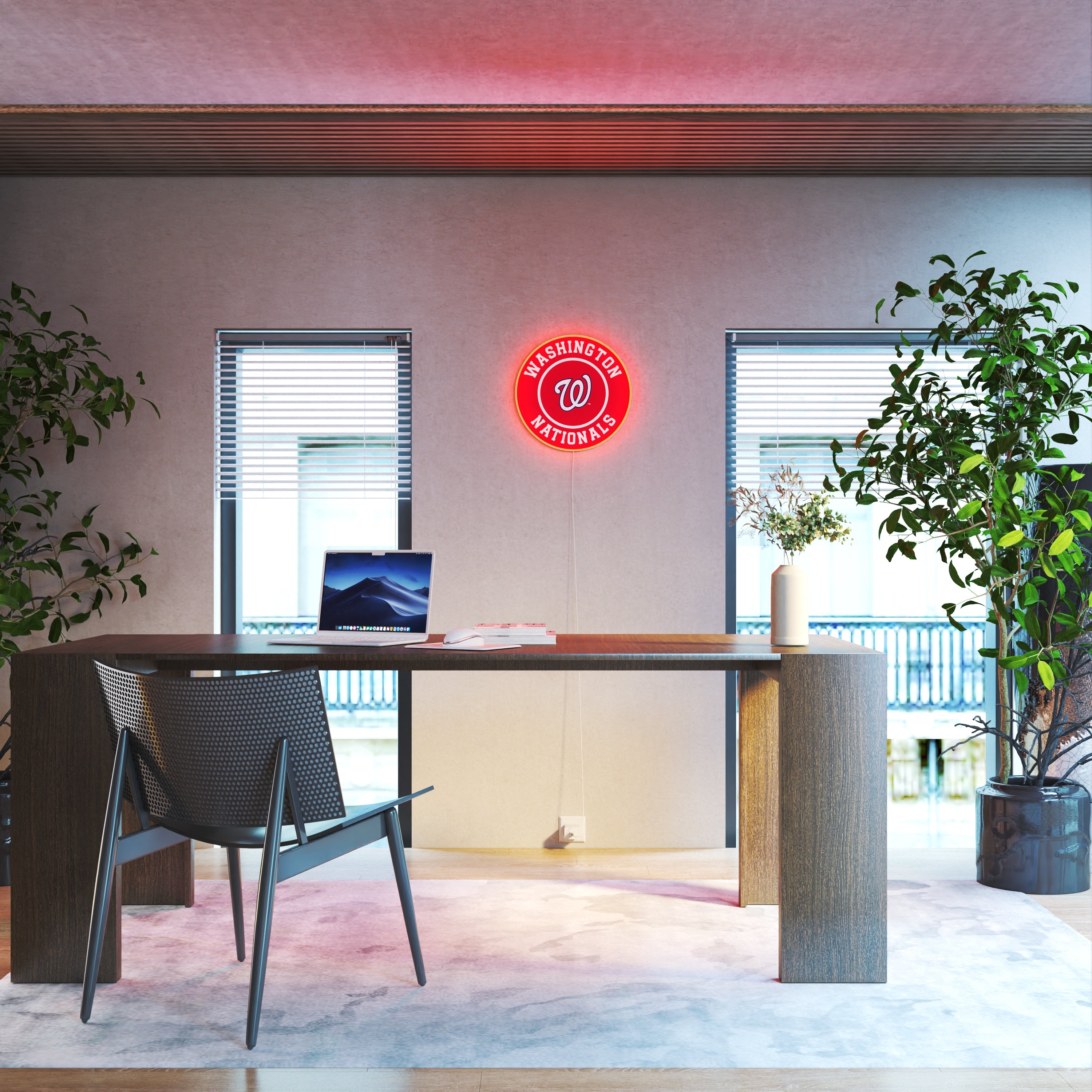 Washington Nationals Rounded Logo, LED neon sign