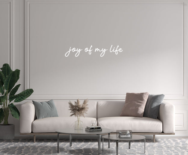 Custom text: joy of my life