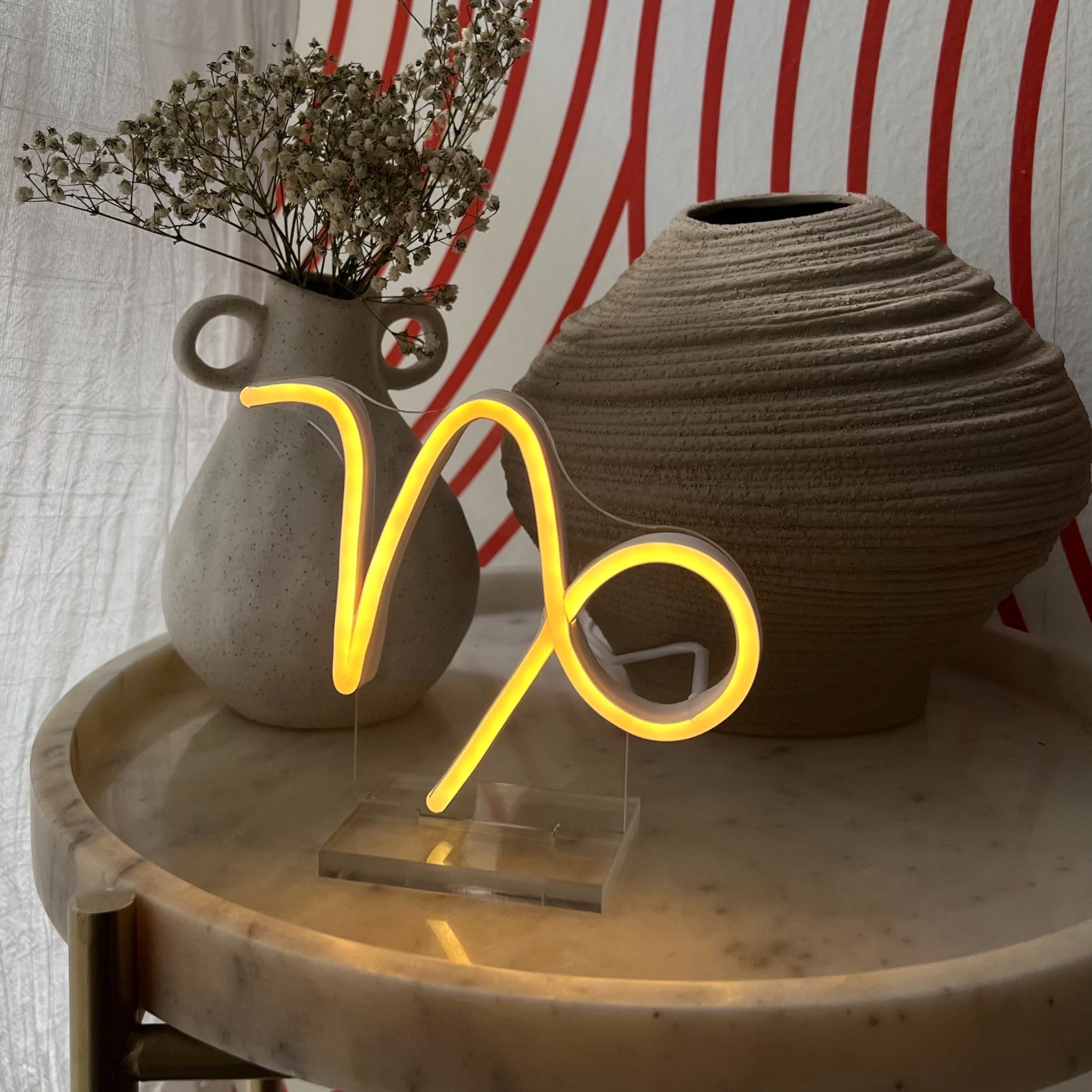Capricorn, LED neon sign