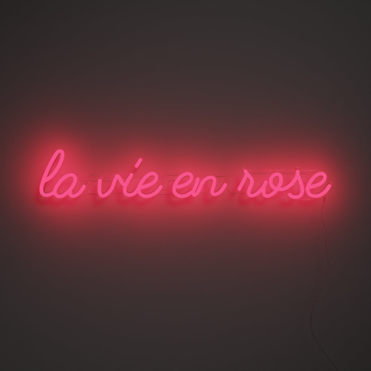 La vie en rose - LED neon sign