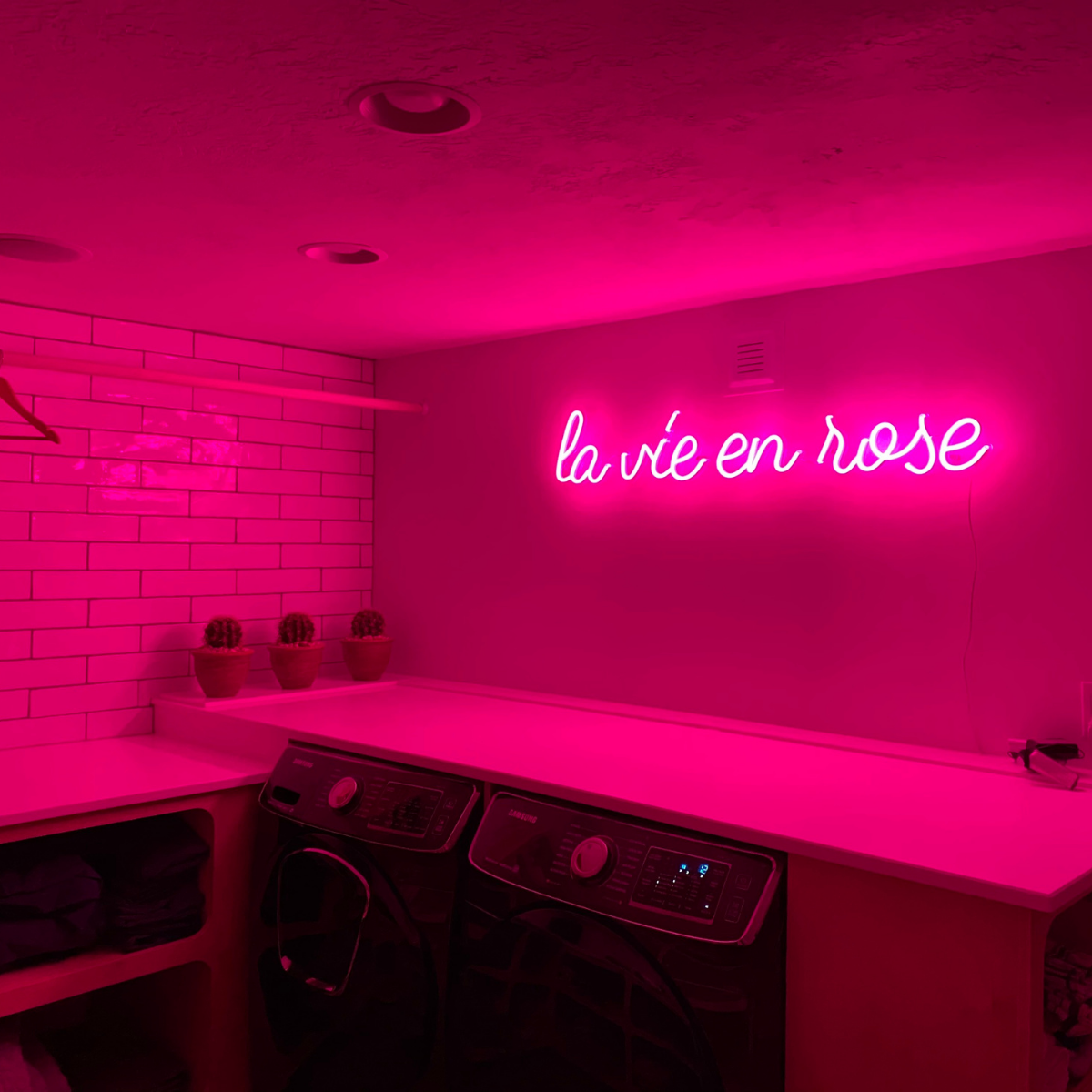 La vie en rose - LED neon sign