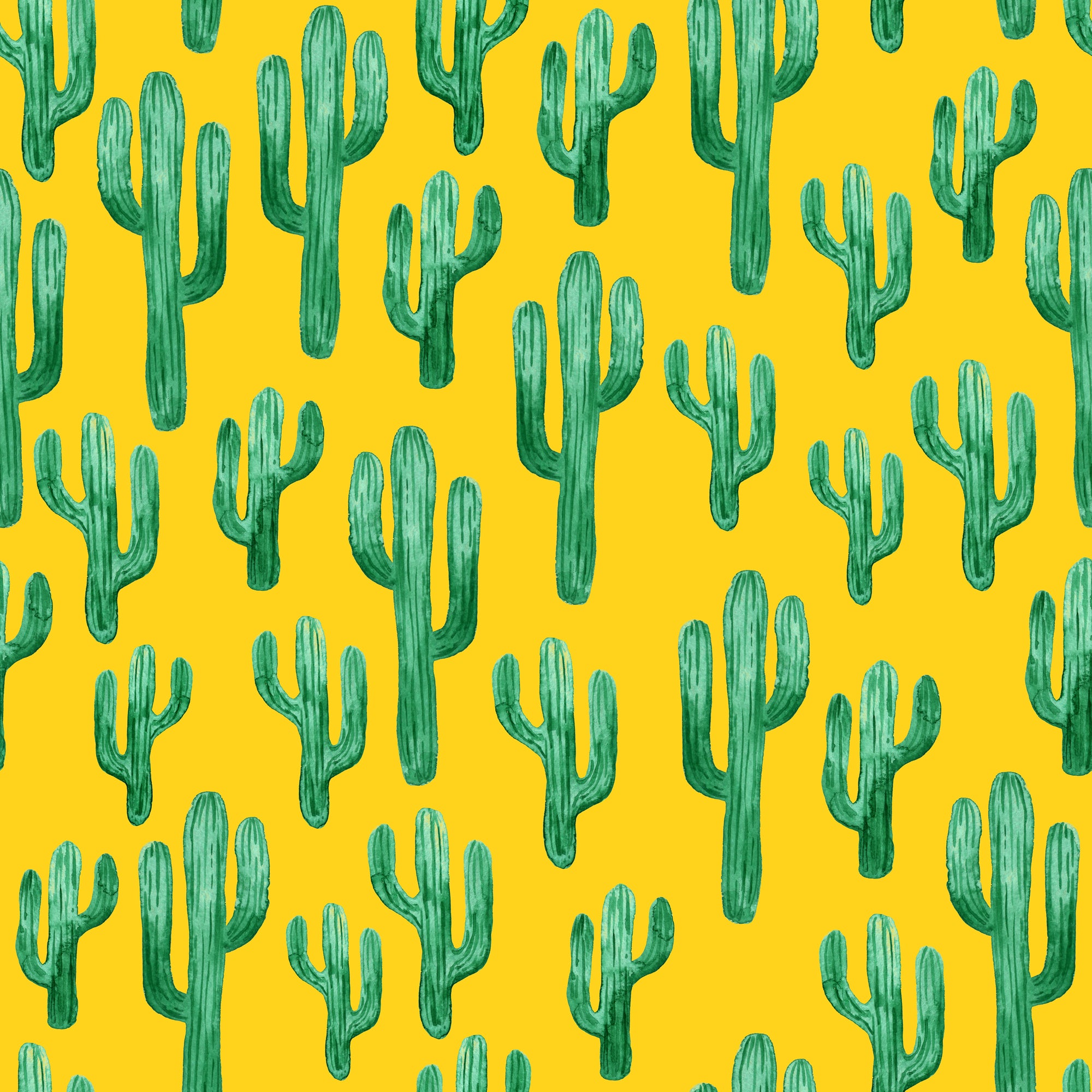 Painted Pricklies Wallpaper
