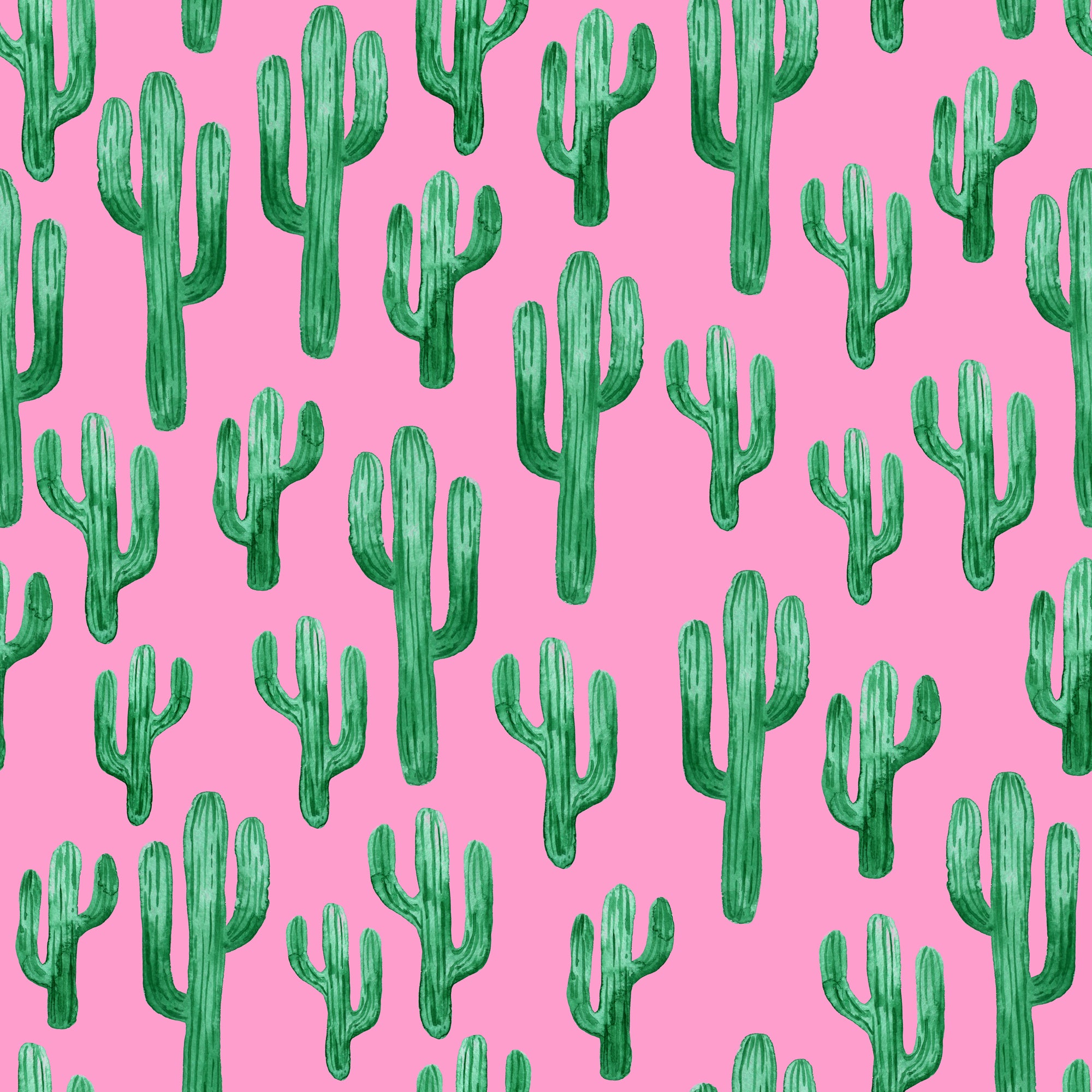 Painted Pricklies Wallpaper