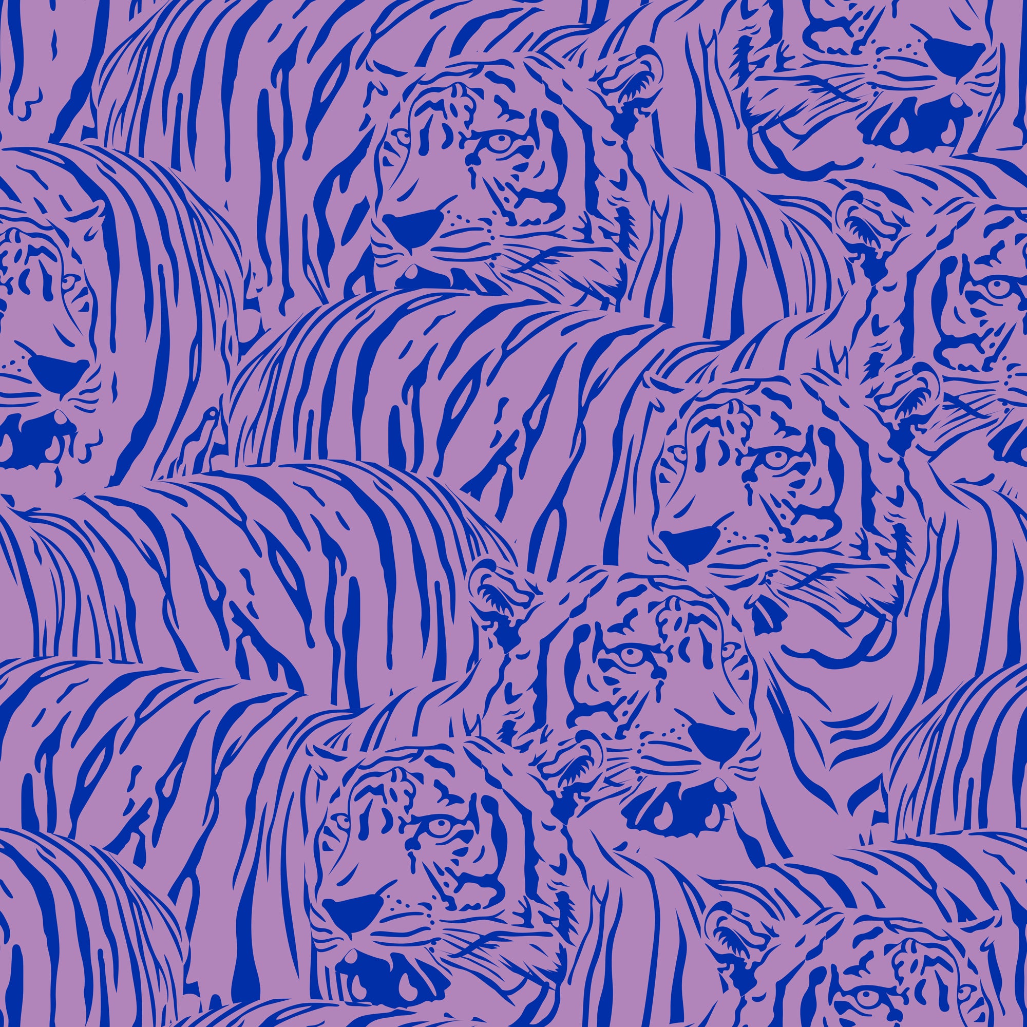 Tiger Territory Wallpaper