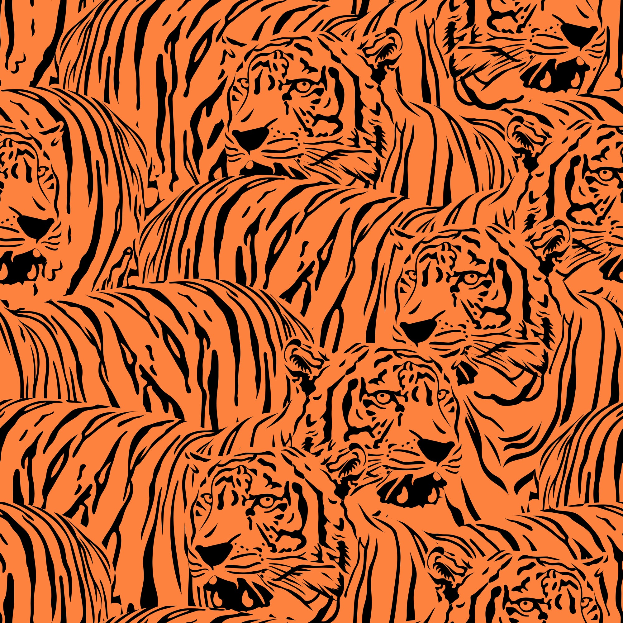 Tiger Territory Wallpaper