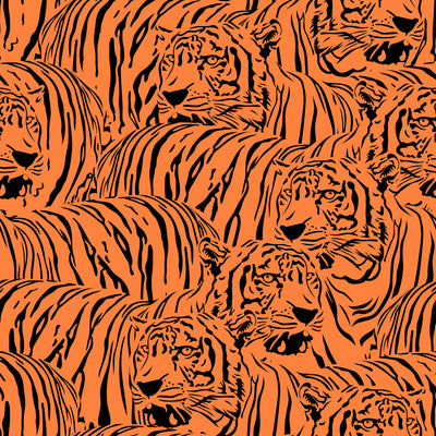Tiger Territory Wallpaper