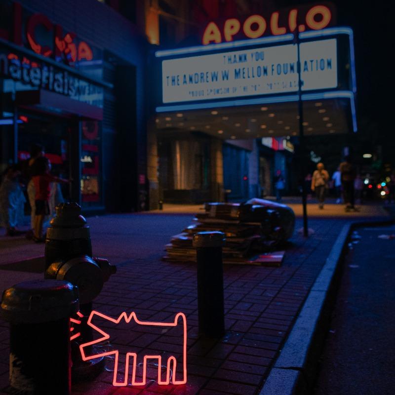 Barking Dog, YP x Keith Haring, LED neon sign