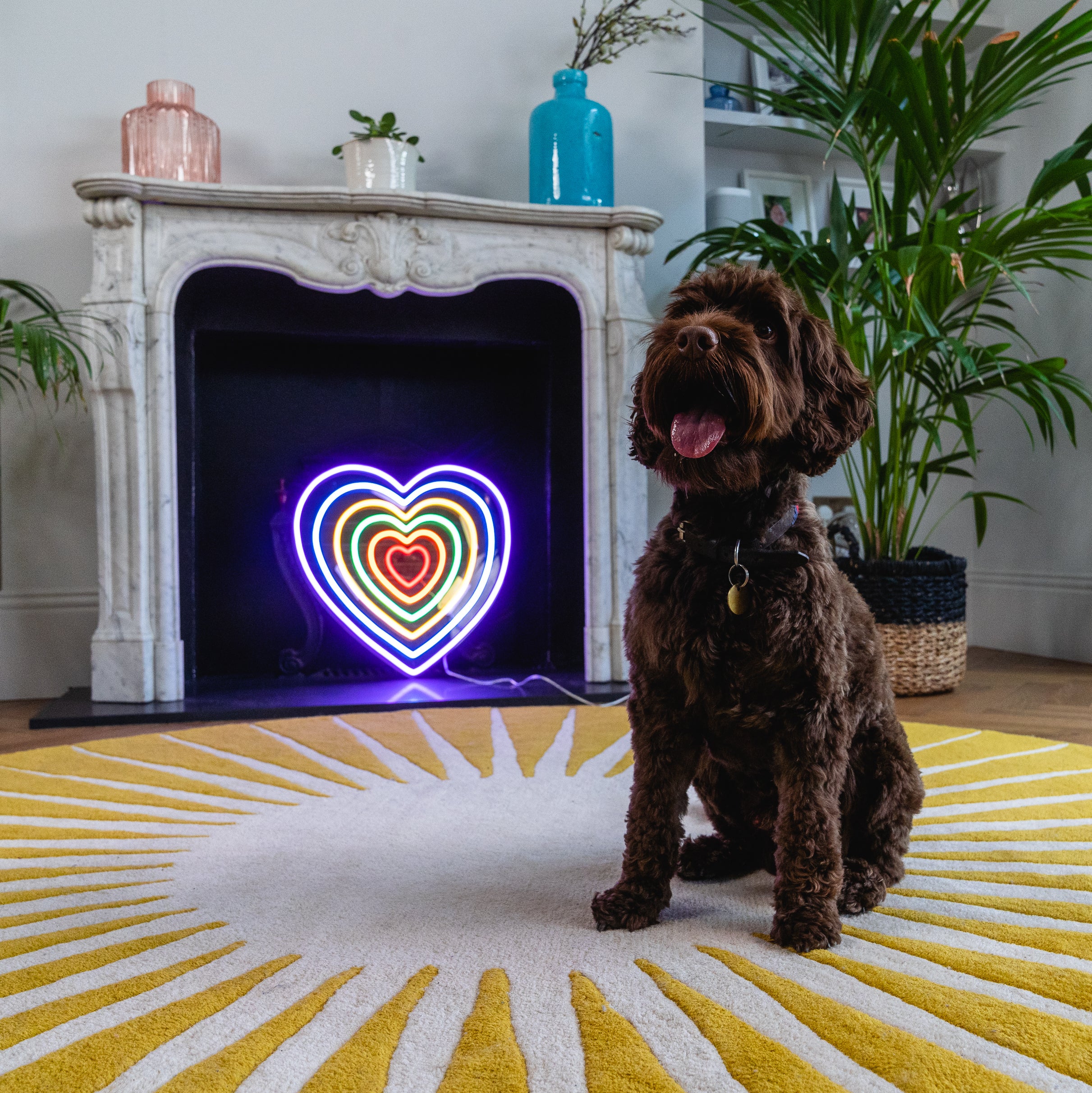 Unlimited Heart - LED neon sign