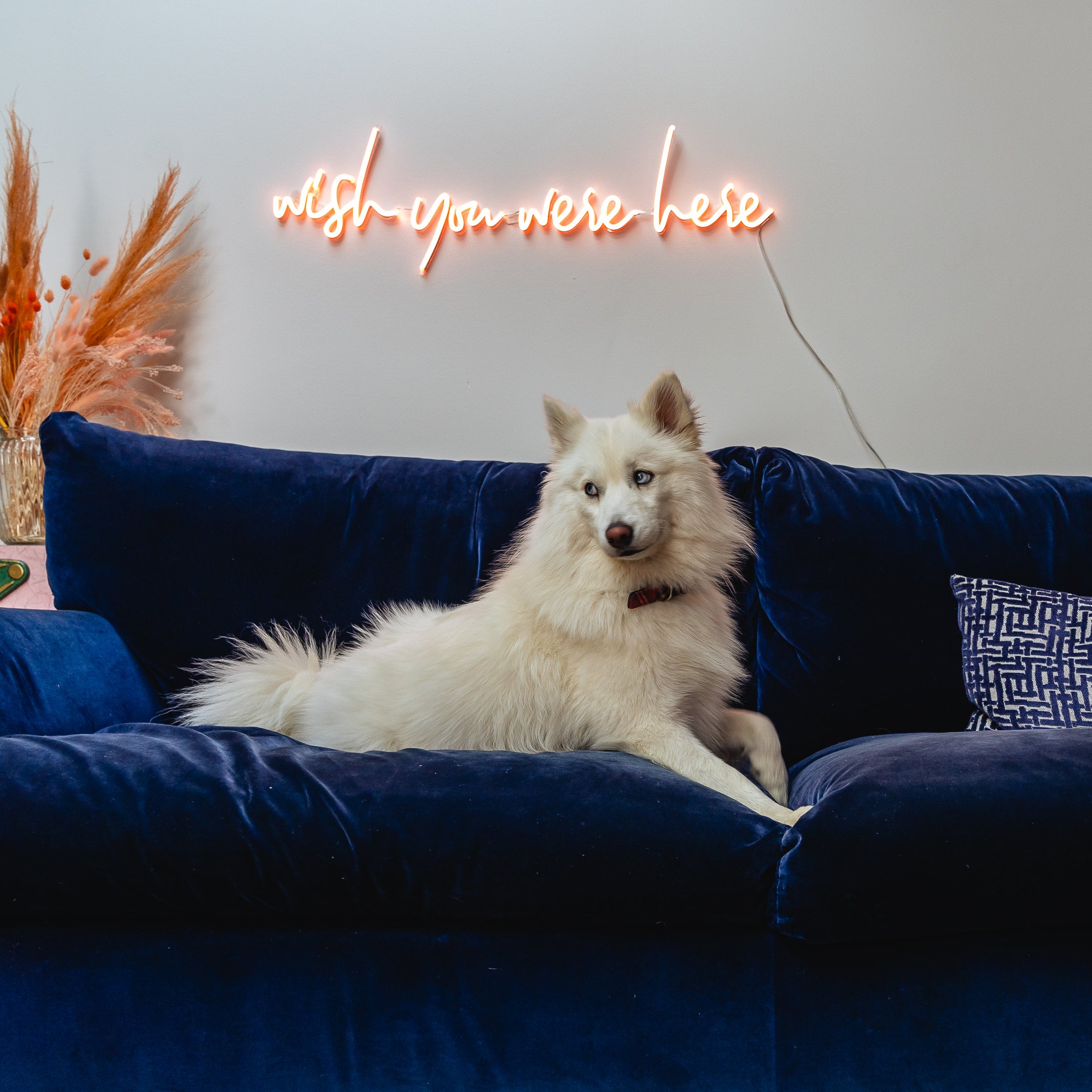 あなたがここにいてくれたらいいのに - LEDネオンサイン