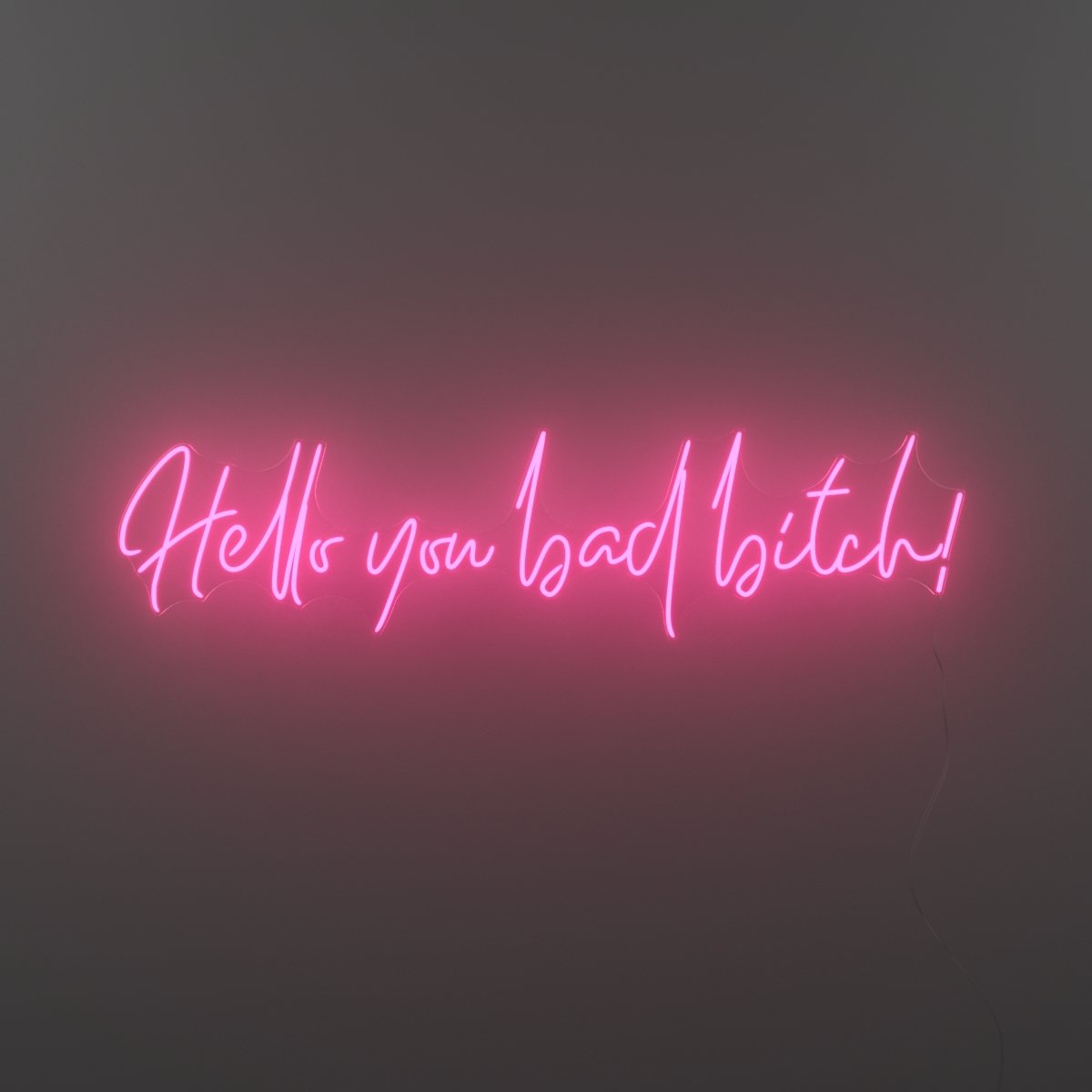 Hello you bad bitch! by Zoe Roe, LED neon sign