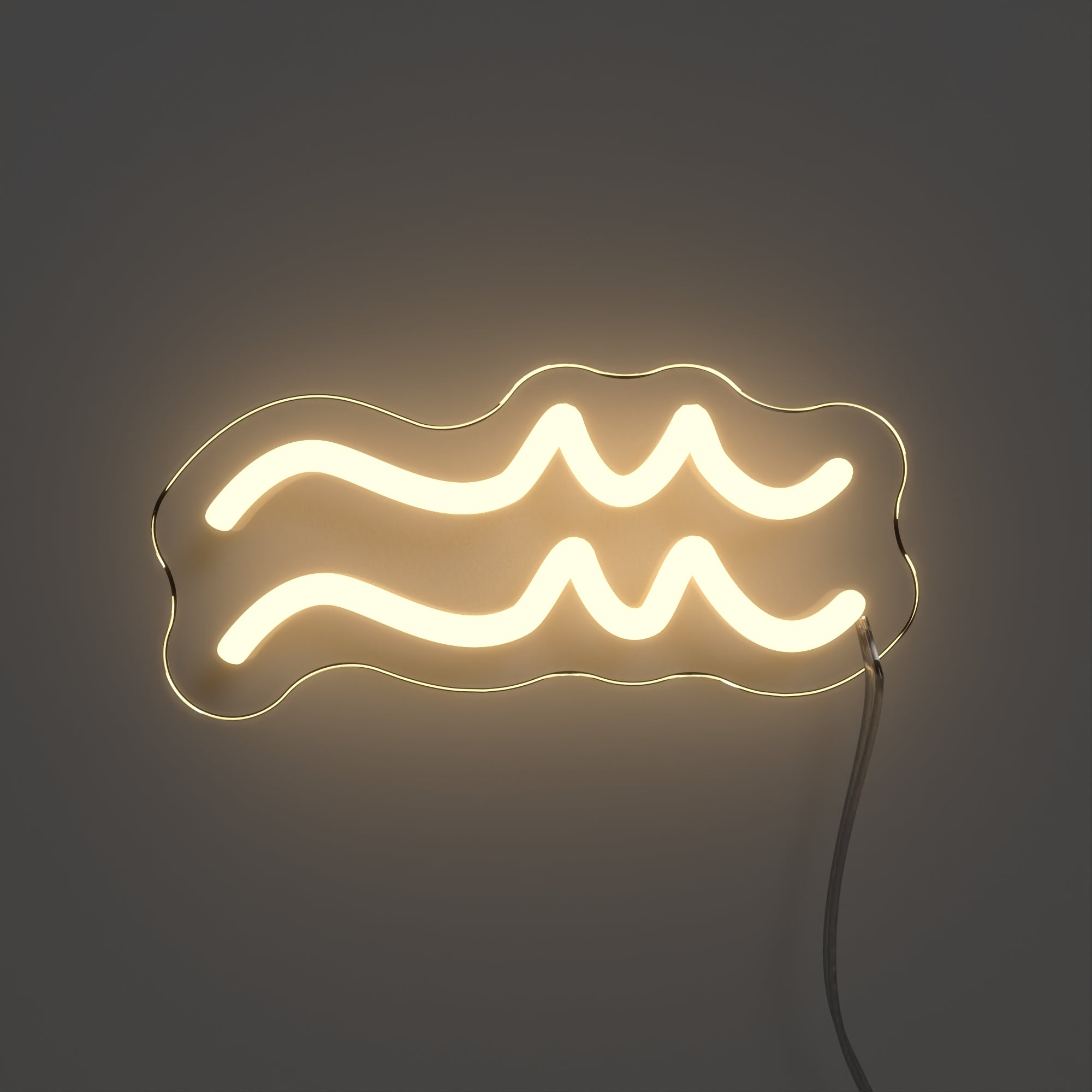 Aquarius, LED neon sign