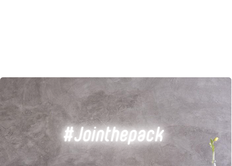 Custom order: #Jointhepack
