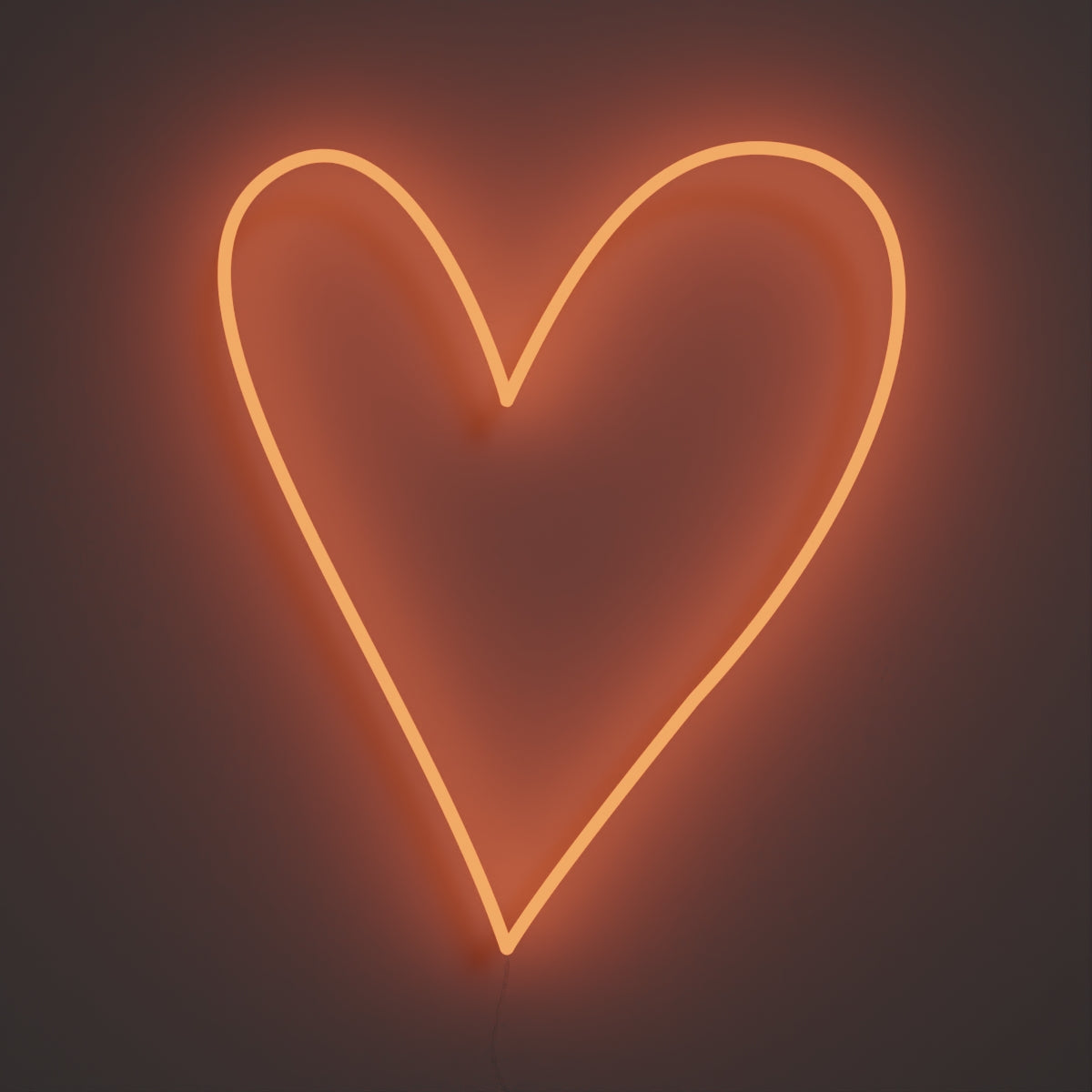 Big Big Heart - LED neon sign