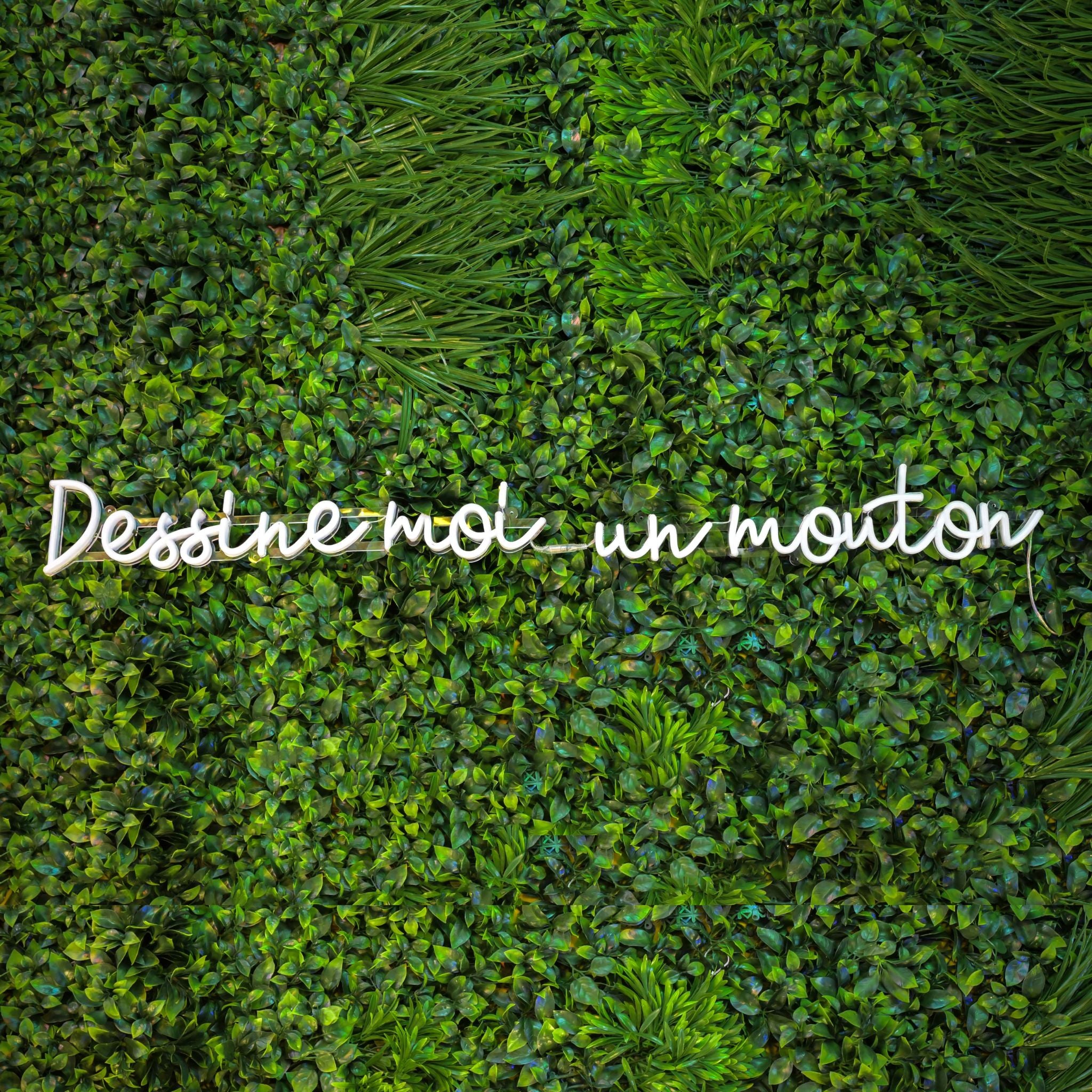 Dessine moi un mouton - yellowpop
