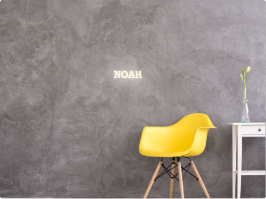 Custom text: NOAH