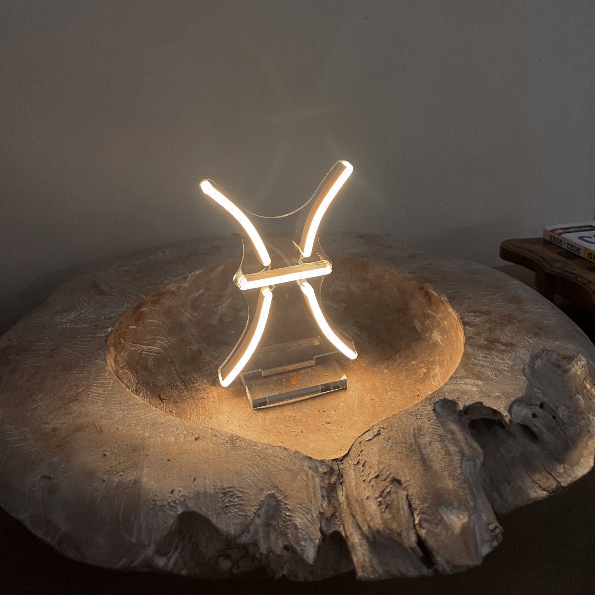 Pisces, LED neon sign