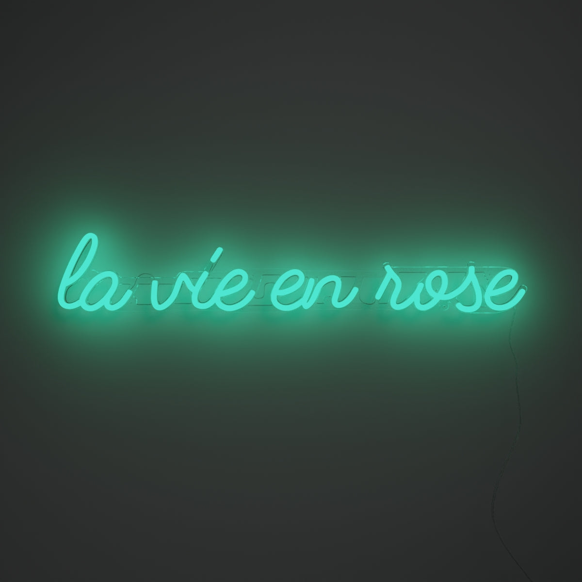 La vie en rose - LED neon sign